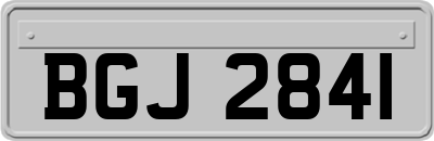 BGJ2841