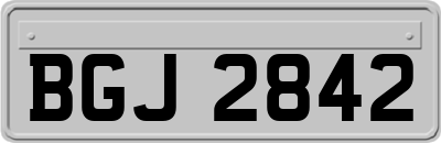 BGJ2842
