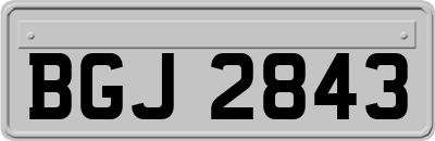 BGJ2843