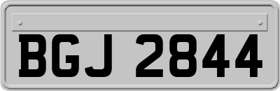 BGJ2844