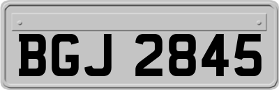BGJ2845