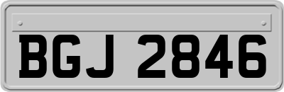 BGJ2846