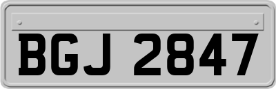 BGJ2847