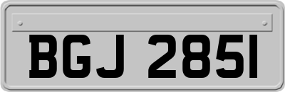BGJ2851