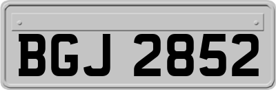 BGJ2852