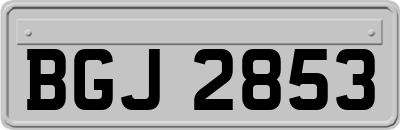 BGJ2853