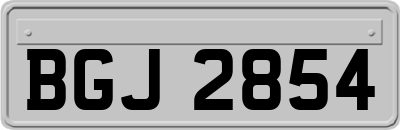 BGJ2854