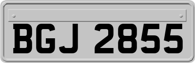 BGJ2855