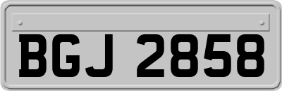 BGJ2858