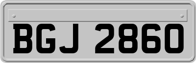 BGJ2860