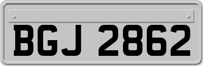 BGJ2862