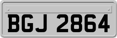 BGJ2864