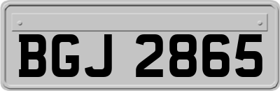 BGJ2865