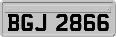 BGJ2866