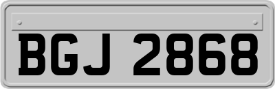 BGJ2868