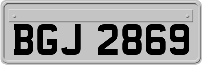BGJ2869