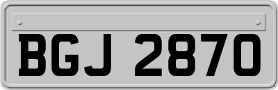 BGJ2870