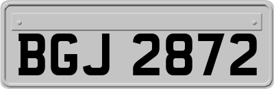 BGJ2872