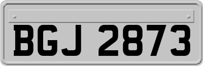 BGJ2873