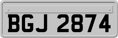 BGJ2874
