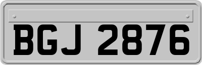 BGJ2876