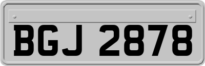 BGJ2878