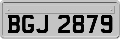 BGJ2879