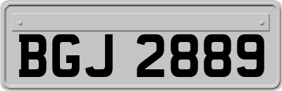 BGJ2889