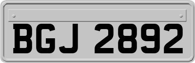 BGJ2892