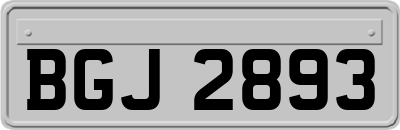 BGJ2893