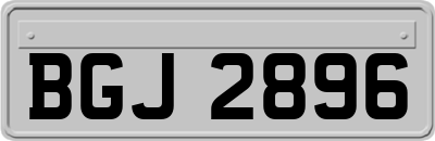 BGJ2896