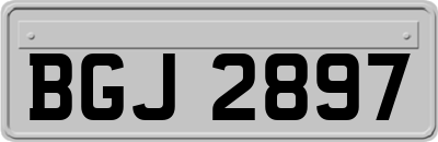 BGJ2897