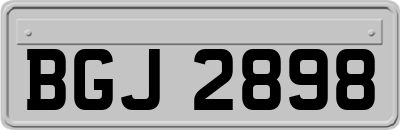 BGJ2898