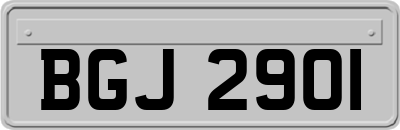 BGJ2901