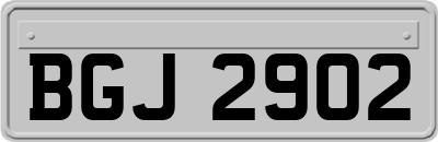 BGJ2902