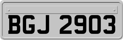 BGJ2903