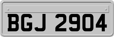 BGJ2904