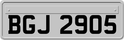 BGJ2905