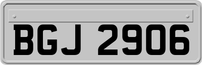 BGJ2906