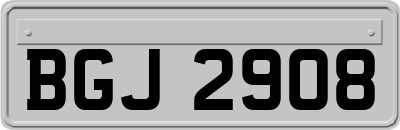 BGJ2908