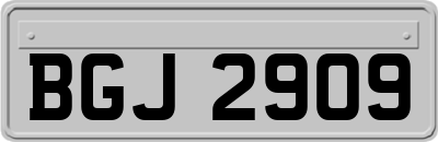 BGJ2909