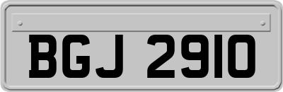 BGJ2910