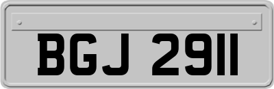 BGJ2911