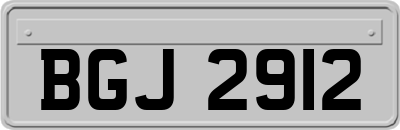 BGJ2912