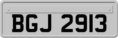 BGJ2913