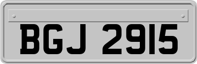 BGJ2915