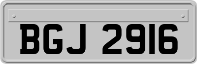 BGJ2916