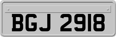 BGJ2918