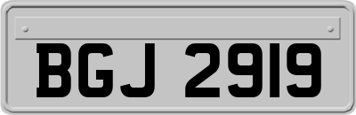 BGJ2919