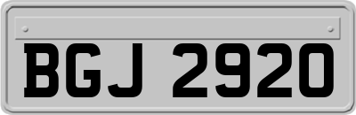 BGJ2920